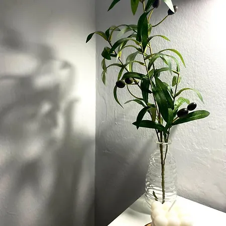 Primavera Centro 아파트